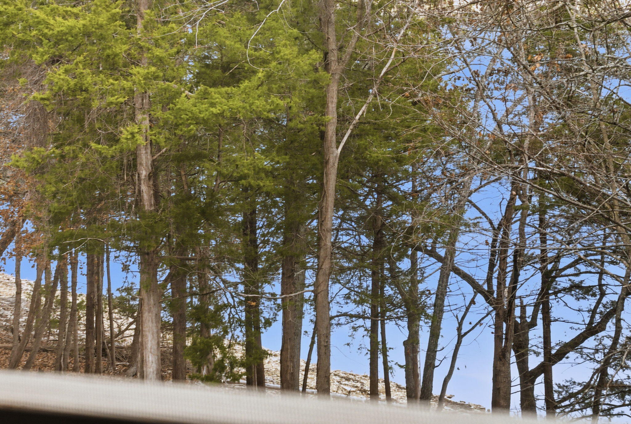 1202 Rocky Shore Terrace Property Photo 28
