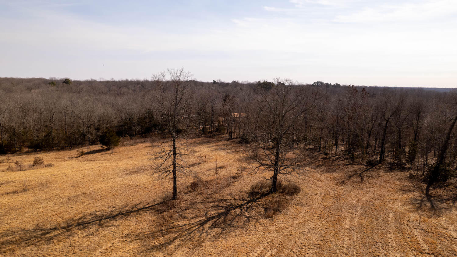 000 West Wirth Road Property Photo 6