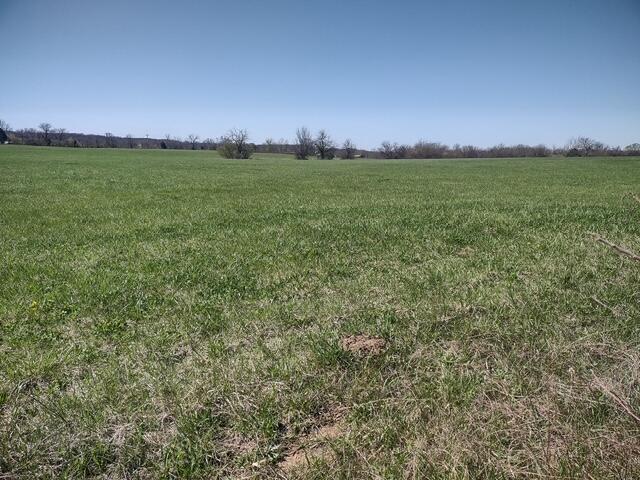 Tbd Commerce Road Property Photo 2