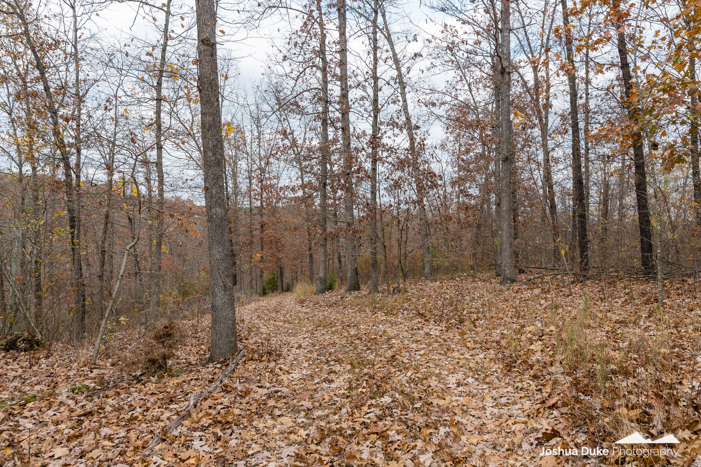5641 Route K Tract B Property Photo 24