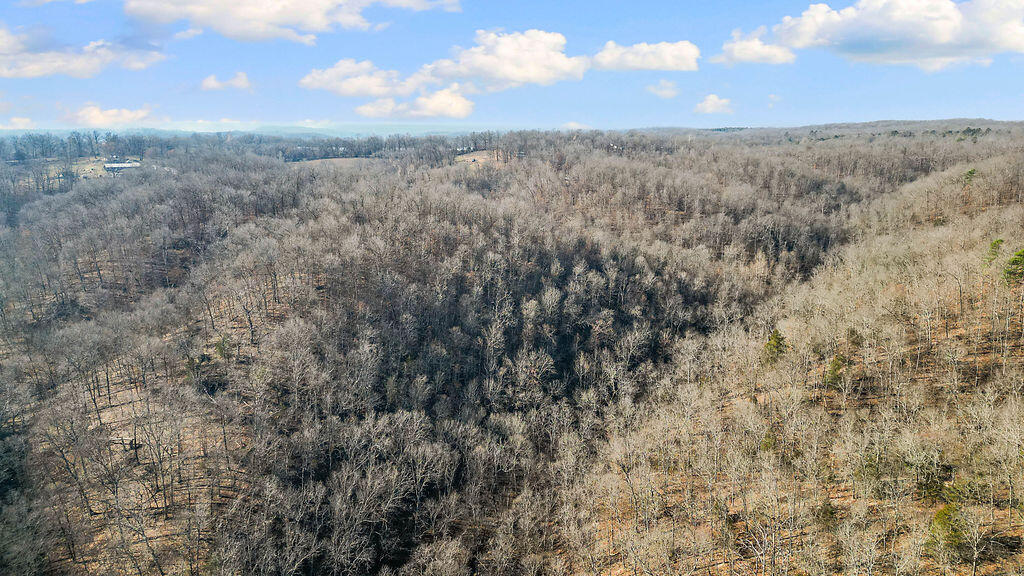 5641 Route K Tract B Property Photo 28