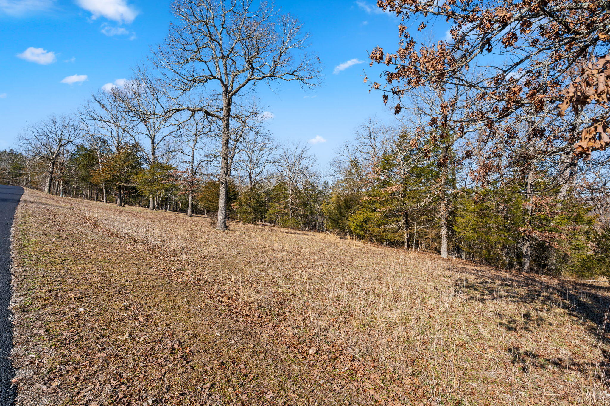 Lot 34a Phase 2 Appaloosa Trail Property Photo 8
