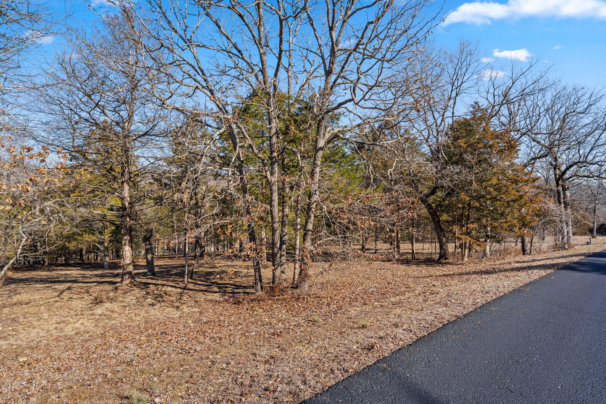 Lot 34a Phase 2 Appaloosa Trail Property Photo 12