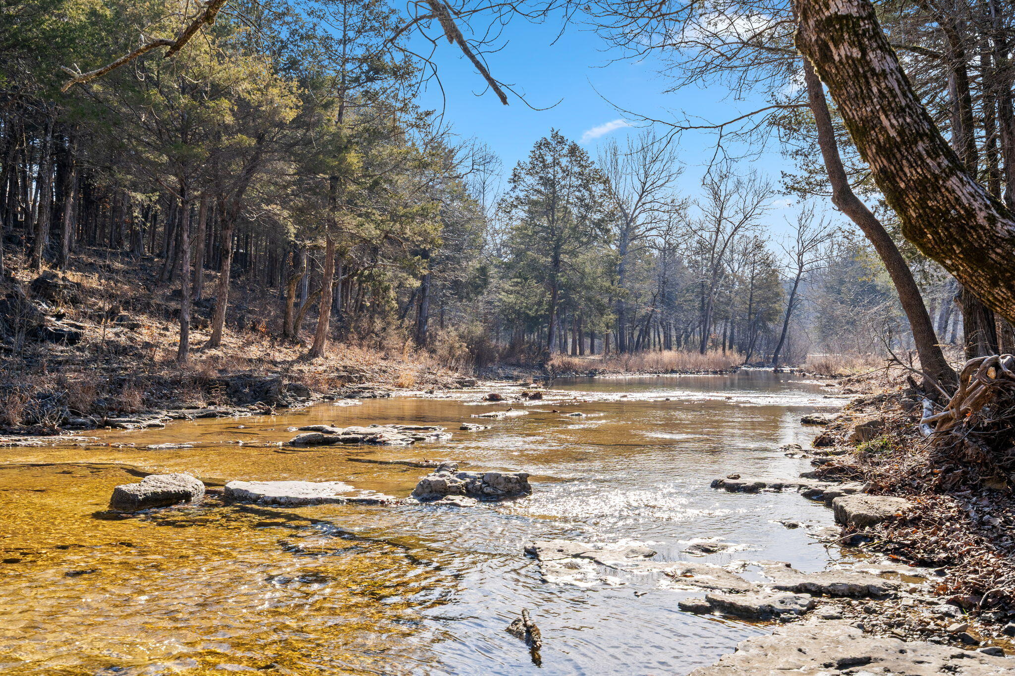 Lot 34a Phase 2 Appaloosa Trail Property Photo 13