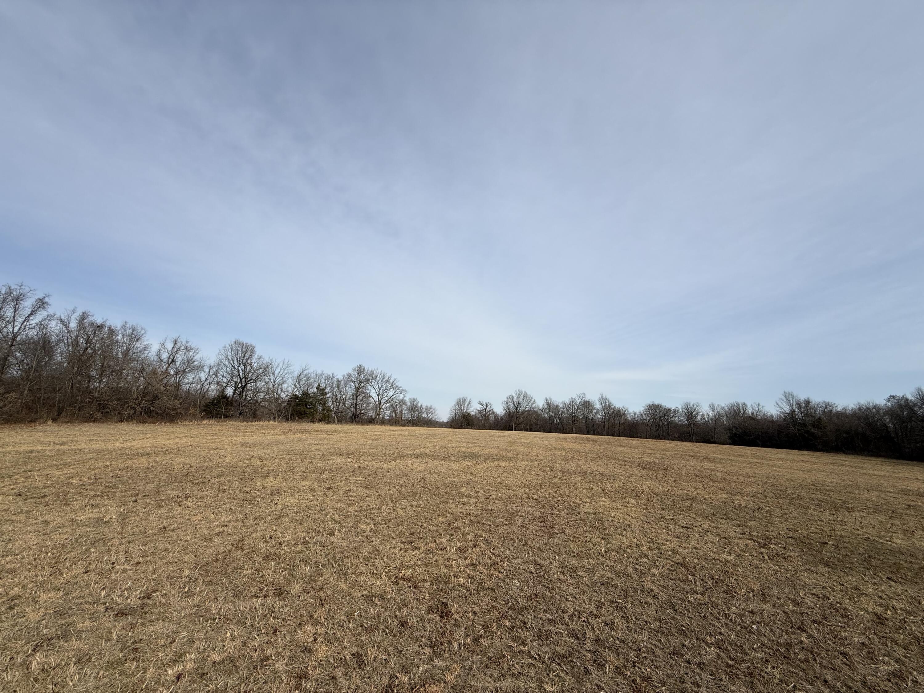 000 Beaver Road Property Photo 4