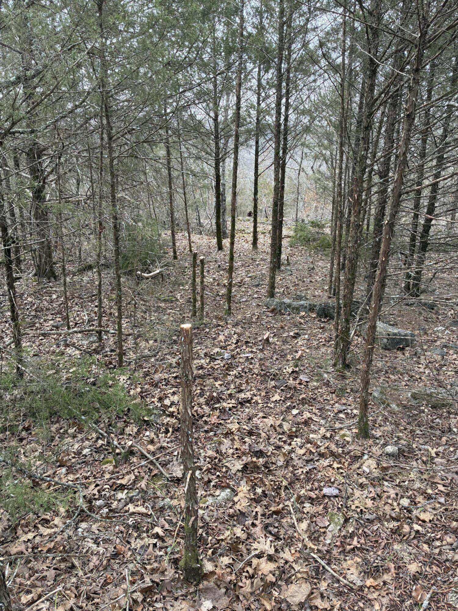 Lot 24 Limestone Drive Property Photo 4