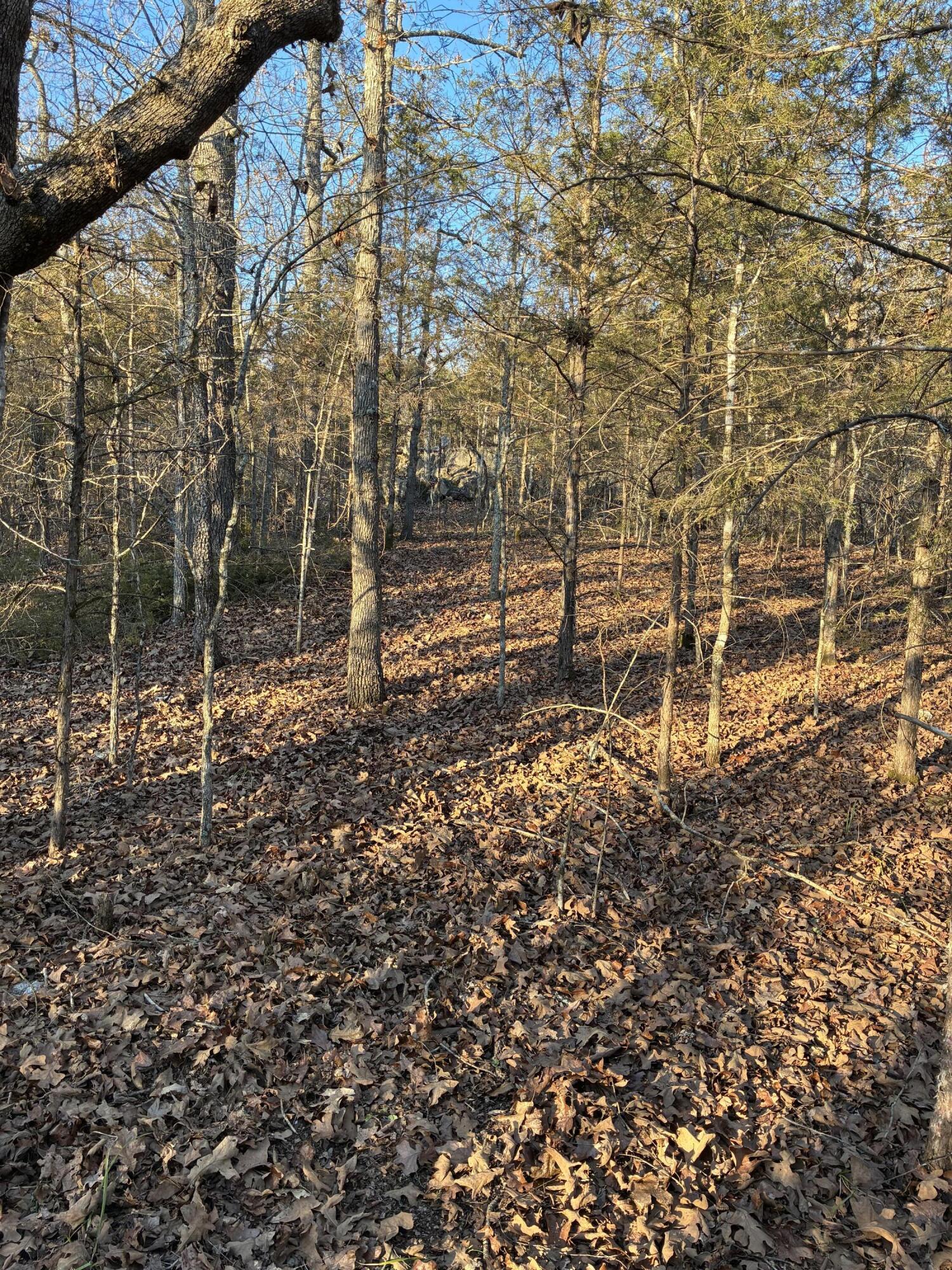 Lot 24 Limestone Drive Property Photo 5