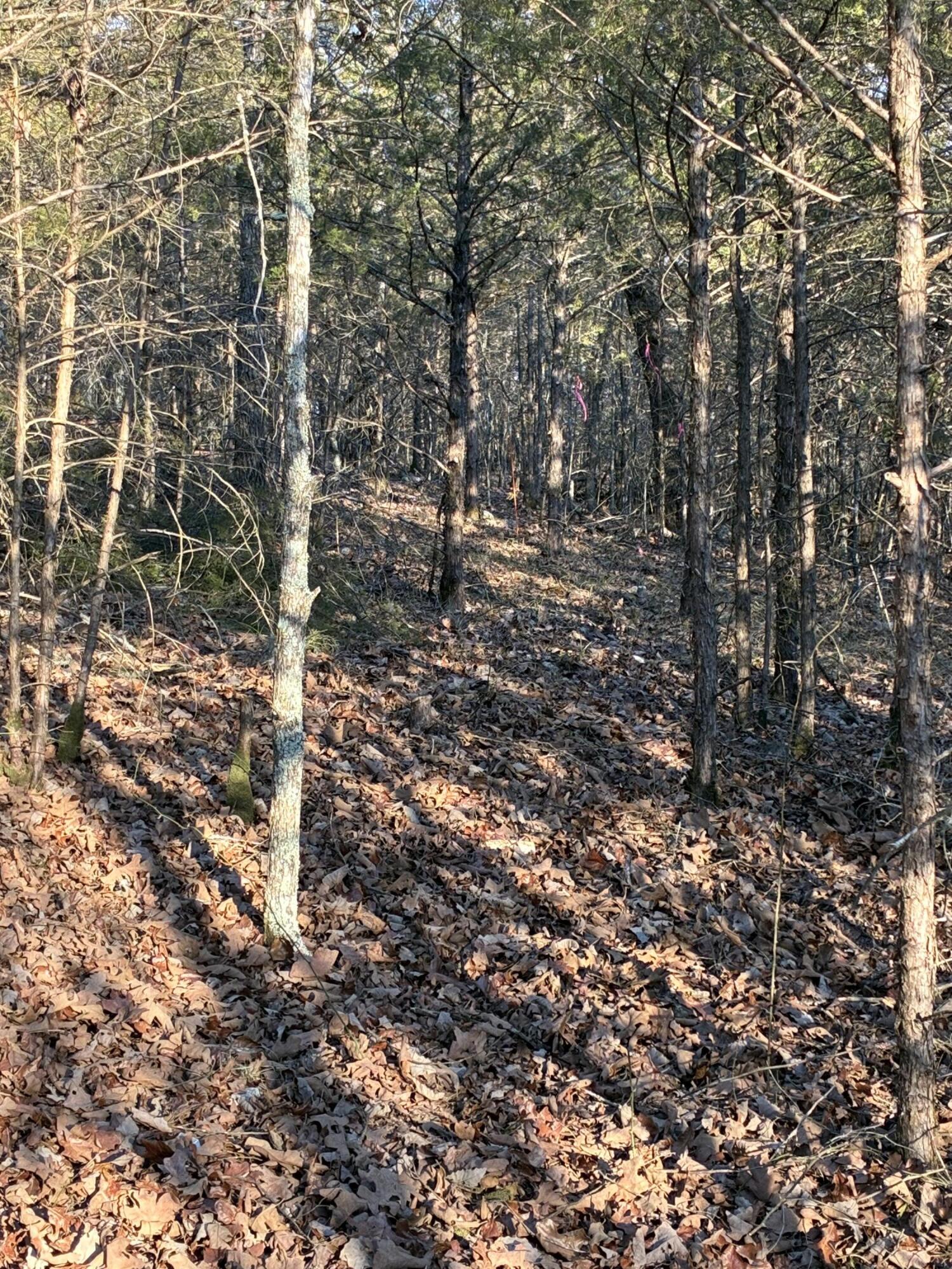 Lot 24 Limestone Drive Property Photo 7
