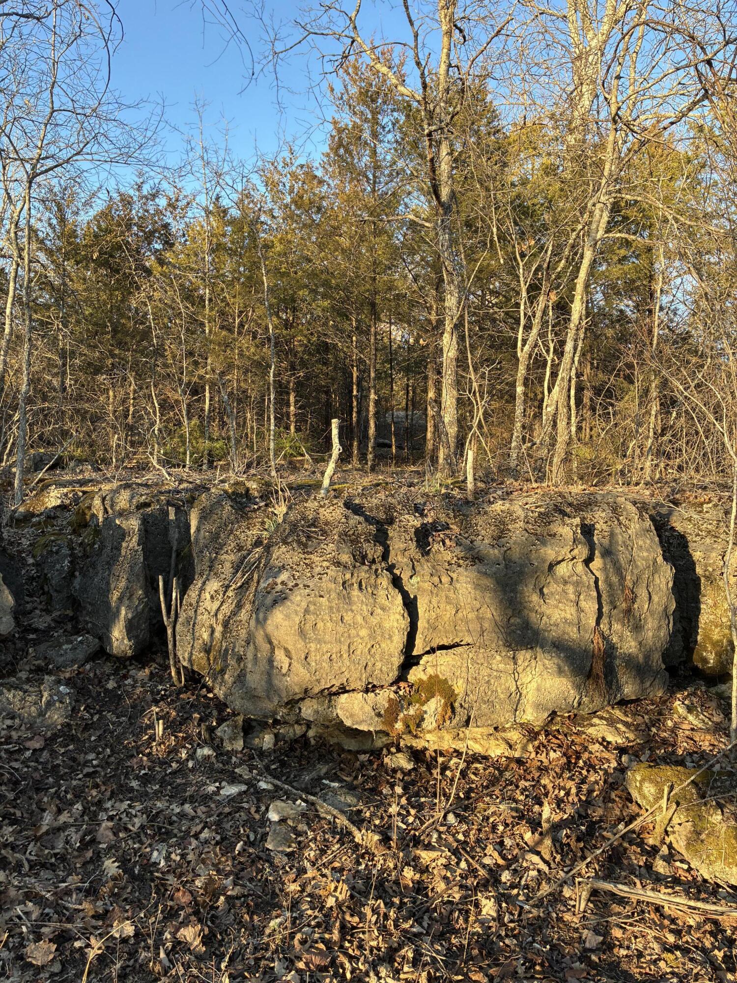 Lot 24 Limestone Drive Property Photo 9