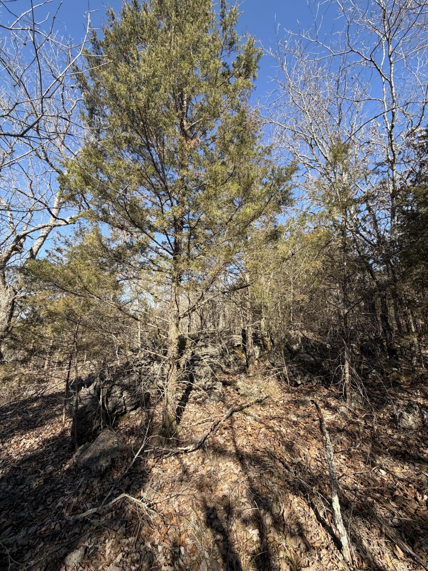 Lot 24 Limestone Drive Property Photo 12