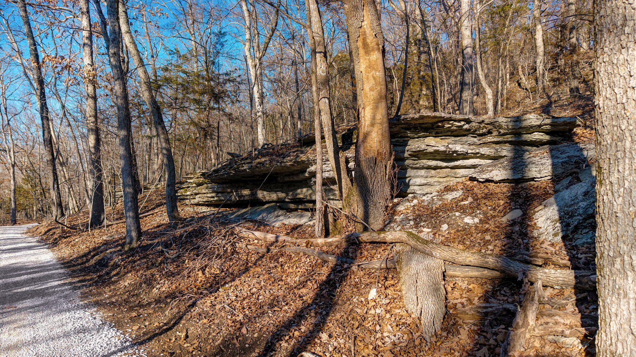 000 Rr Center Road Property Photo 6