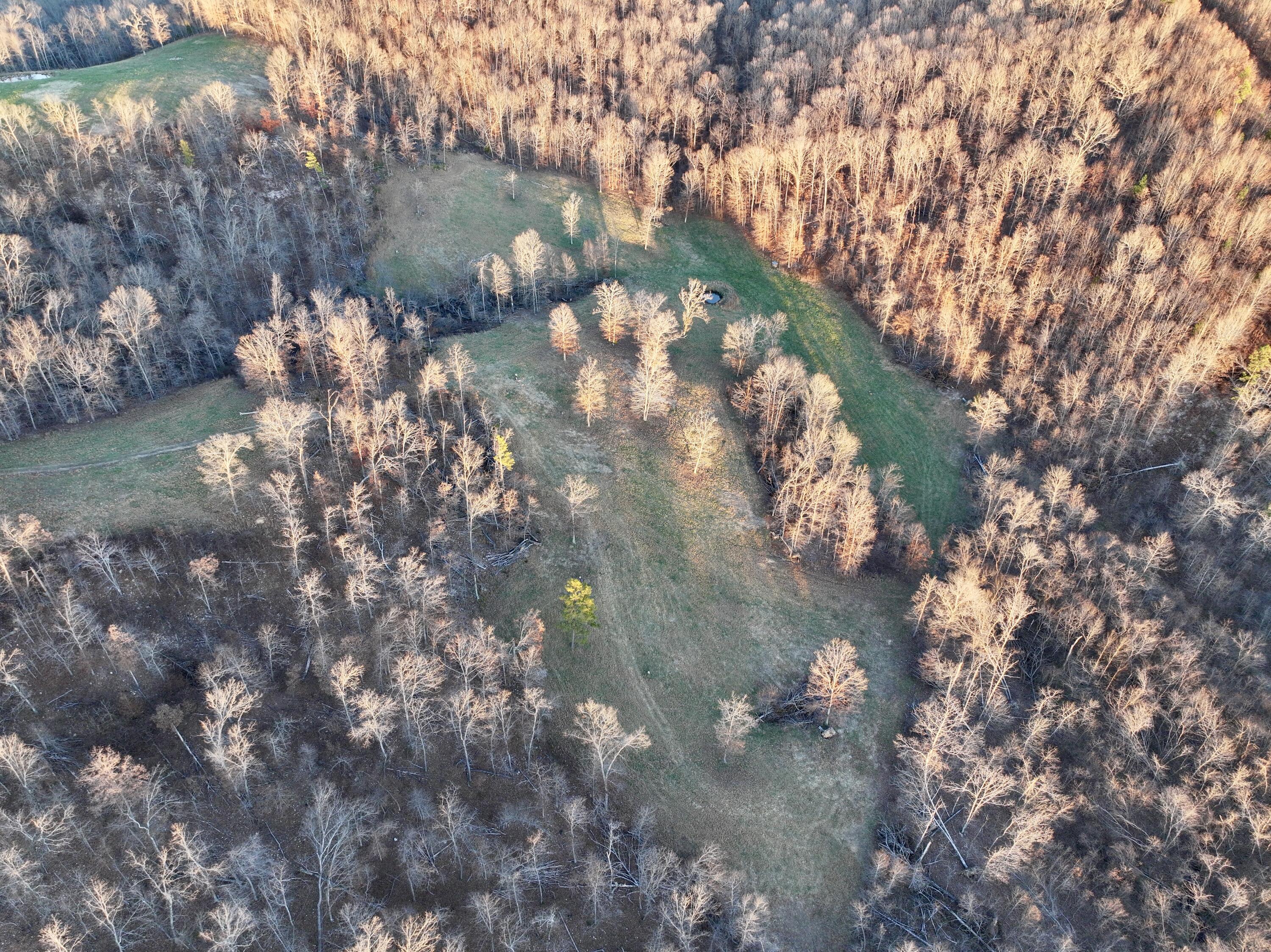 3924 Highway D Property Photo 48