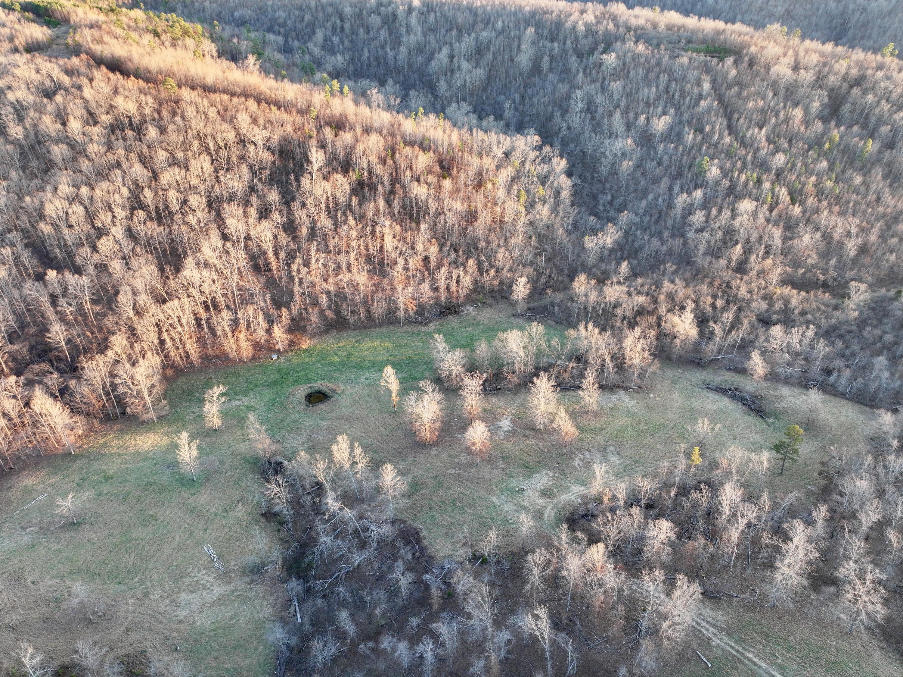 3924 Highway D Property Photo 51