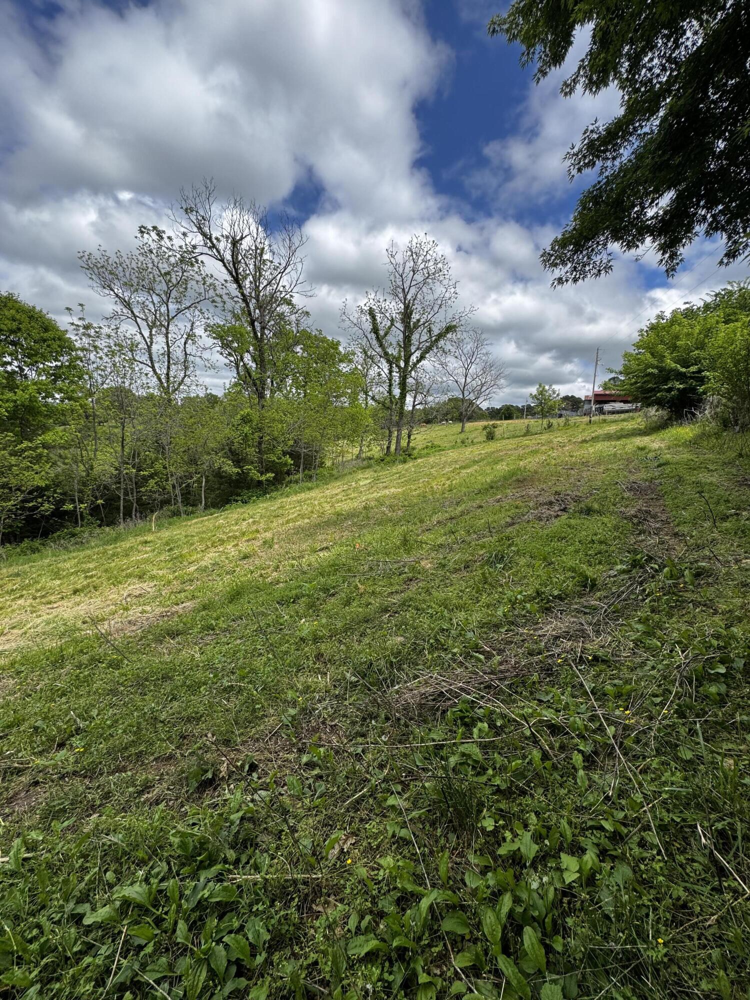 3179 Goff Ridge Road Property Photo 7