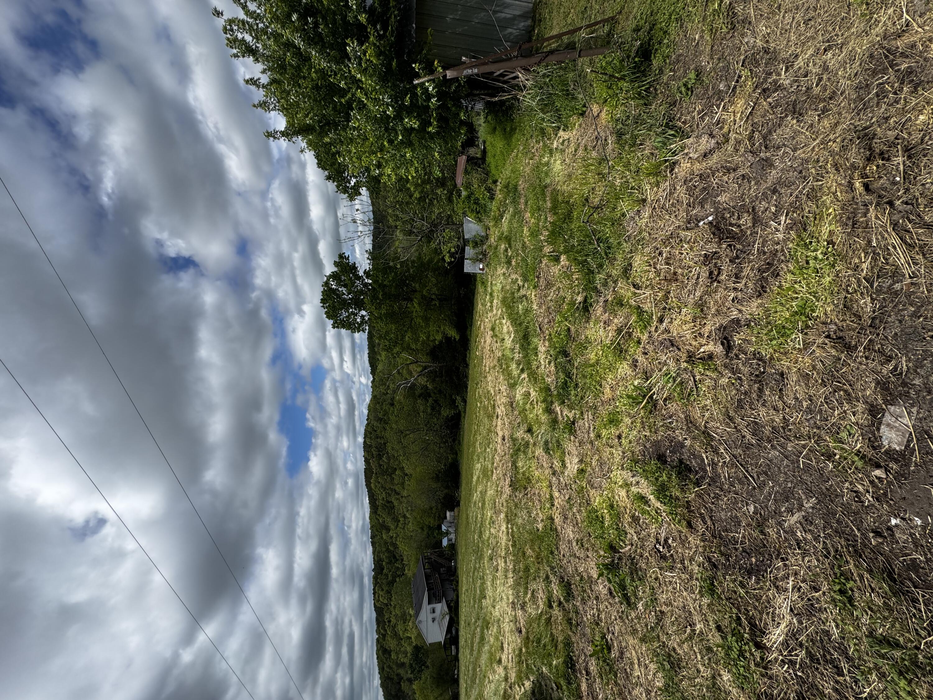 3179 Goff Ridge Road Property Photo 18