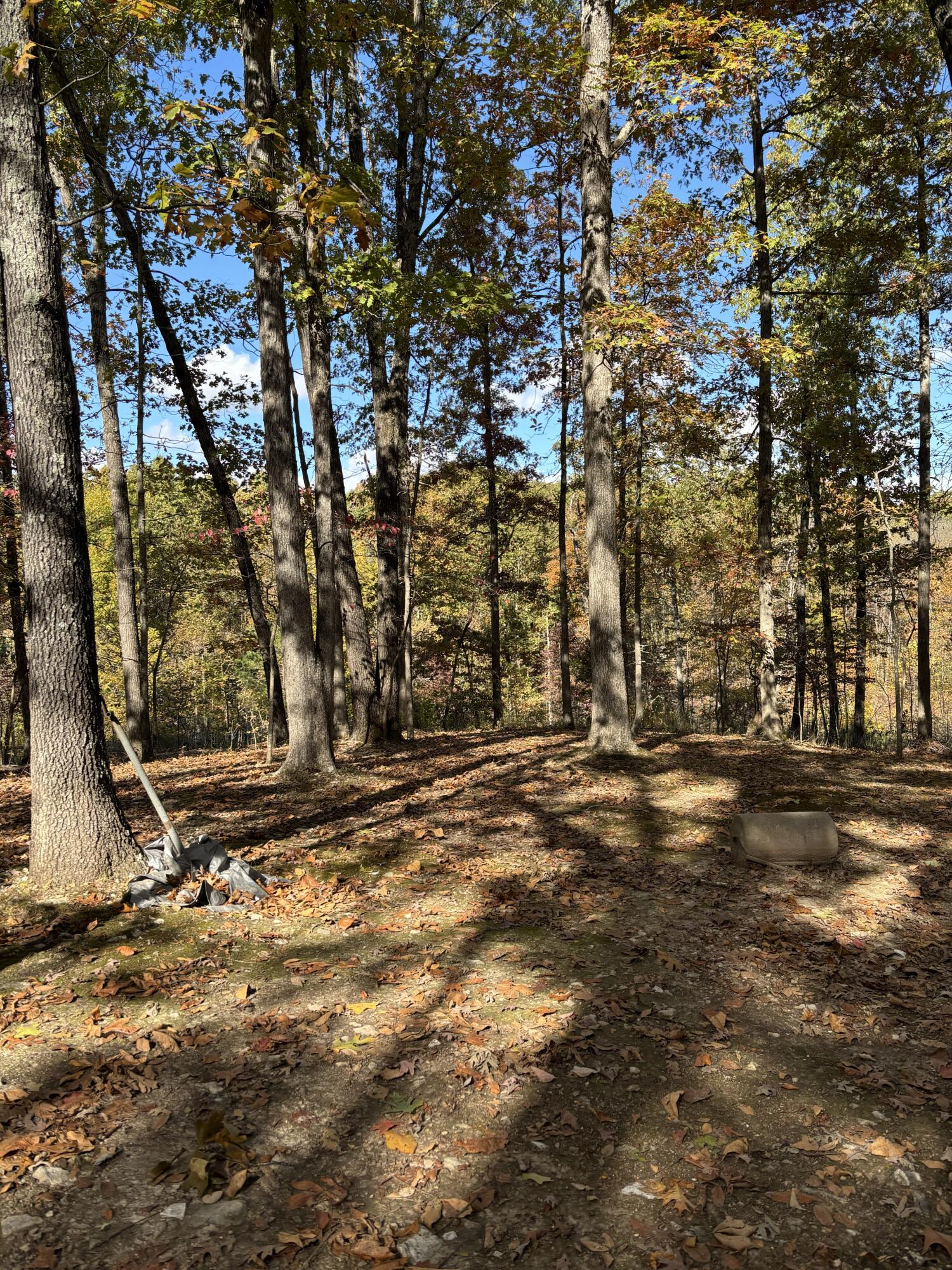 1814 State Highway 125 South Property Photo 27