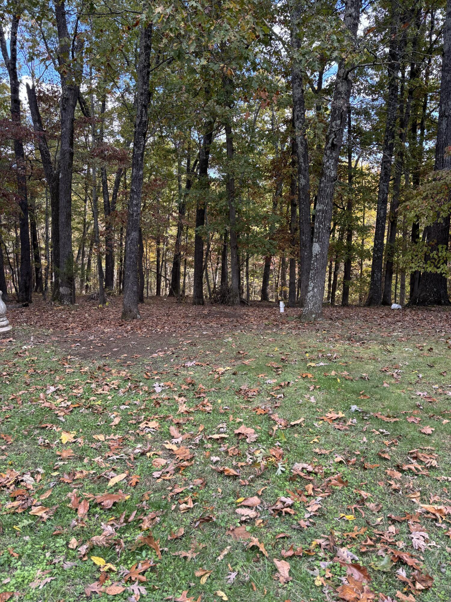 1814 State Highway 125 South Property Photo 32