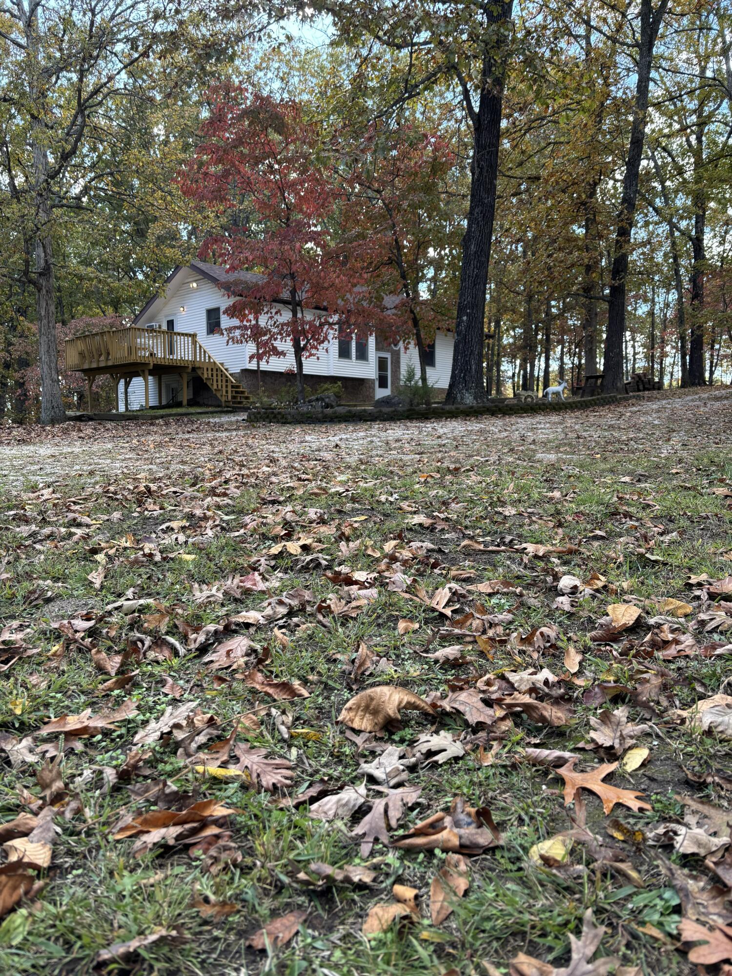1814 State Highway 125 South Property Photo 34