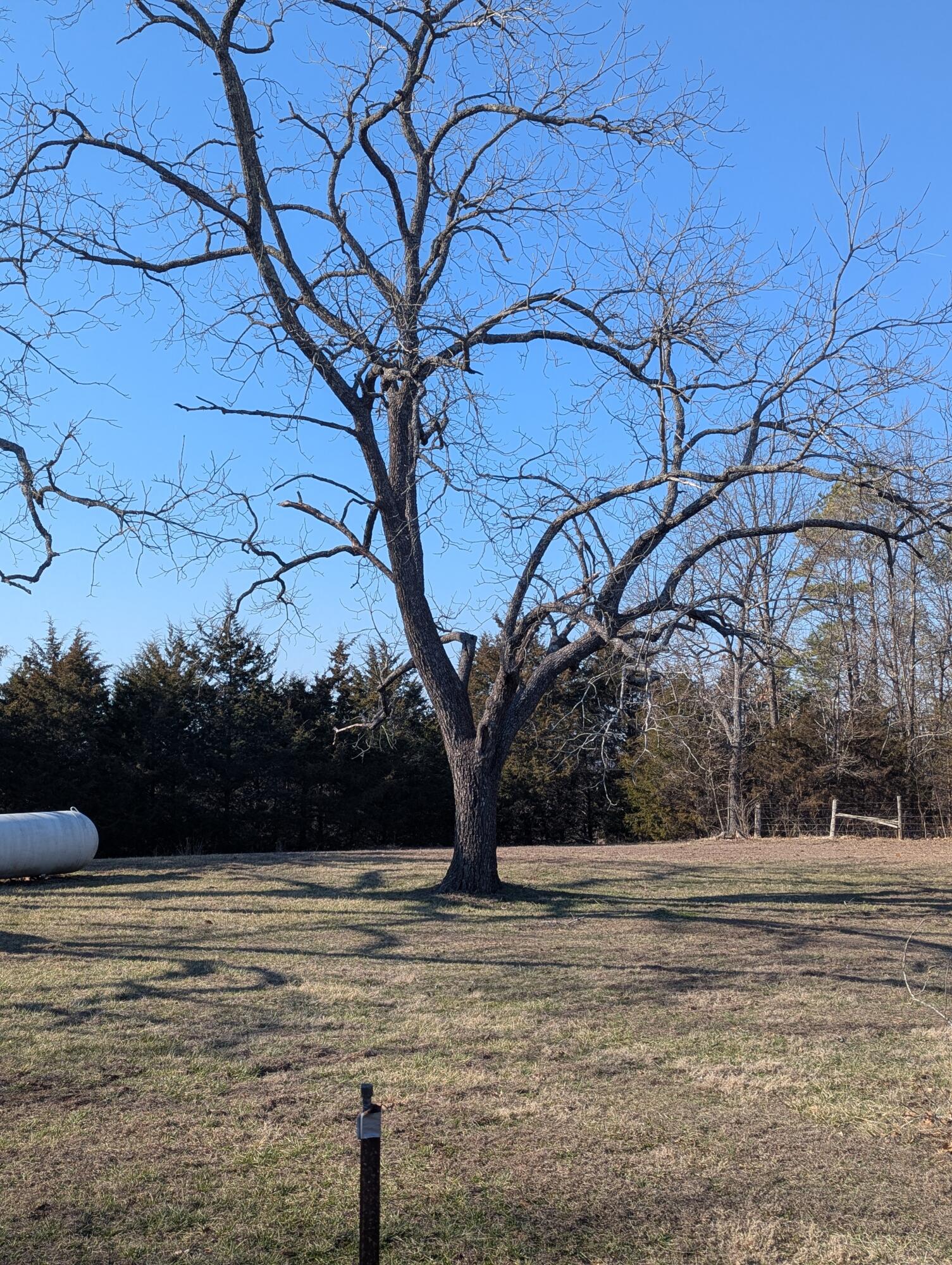 1760 Mo-181 Property Photo 9