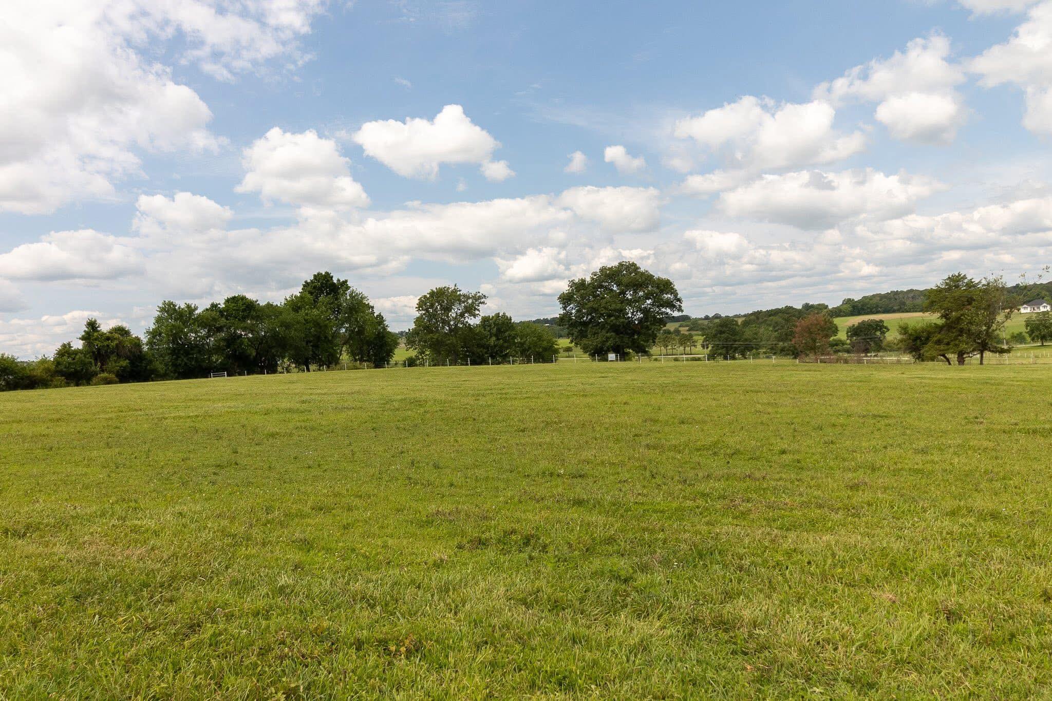 10851 Lone Pine Road Property Photo 4