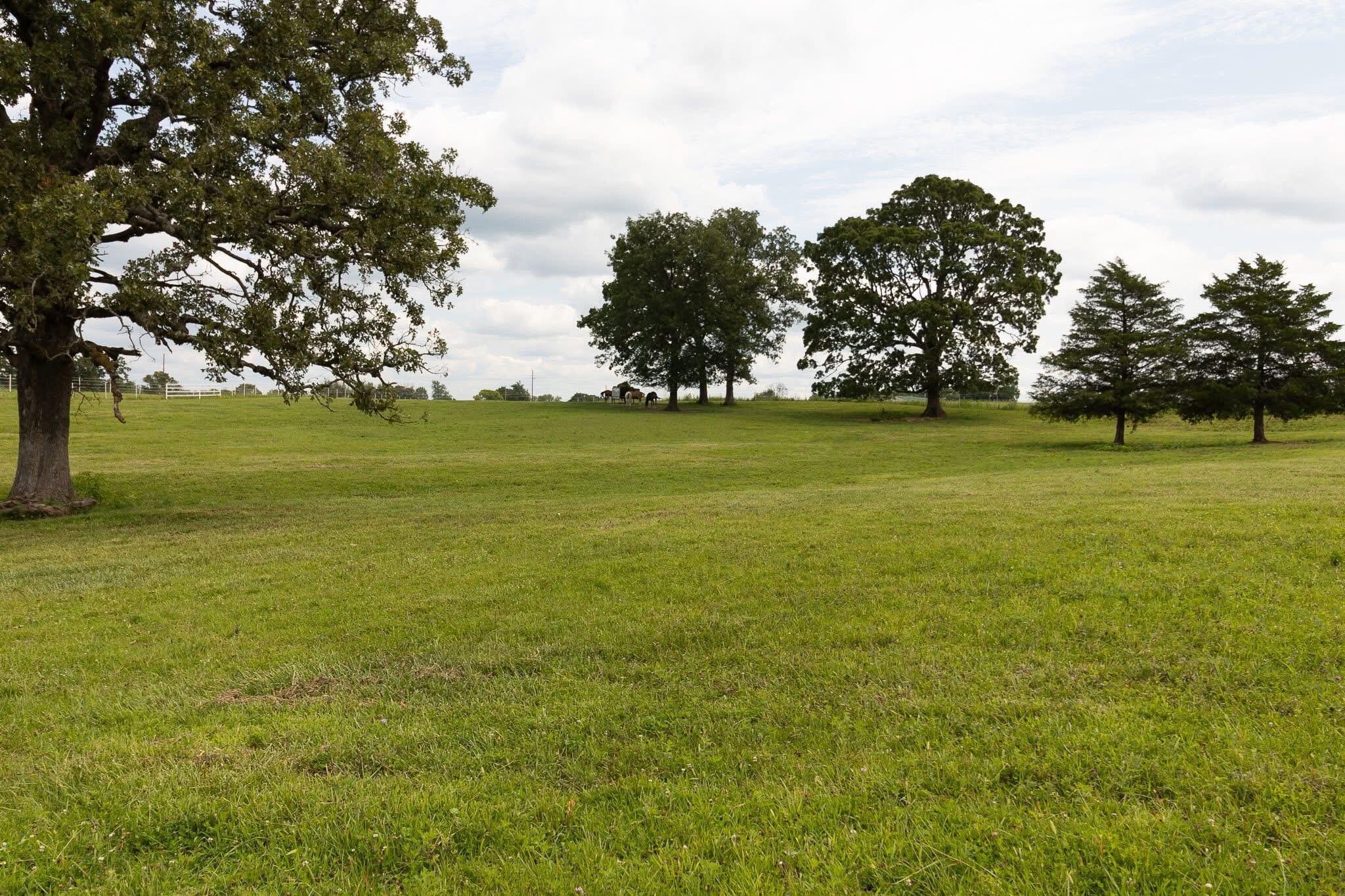10851 Lone Pine Road Property Photo 5