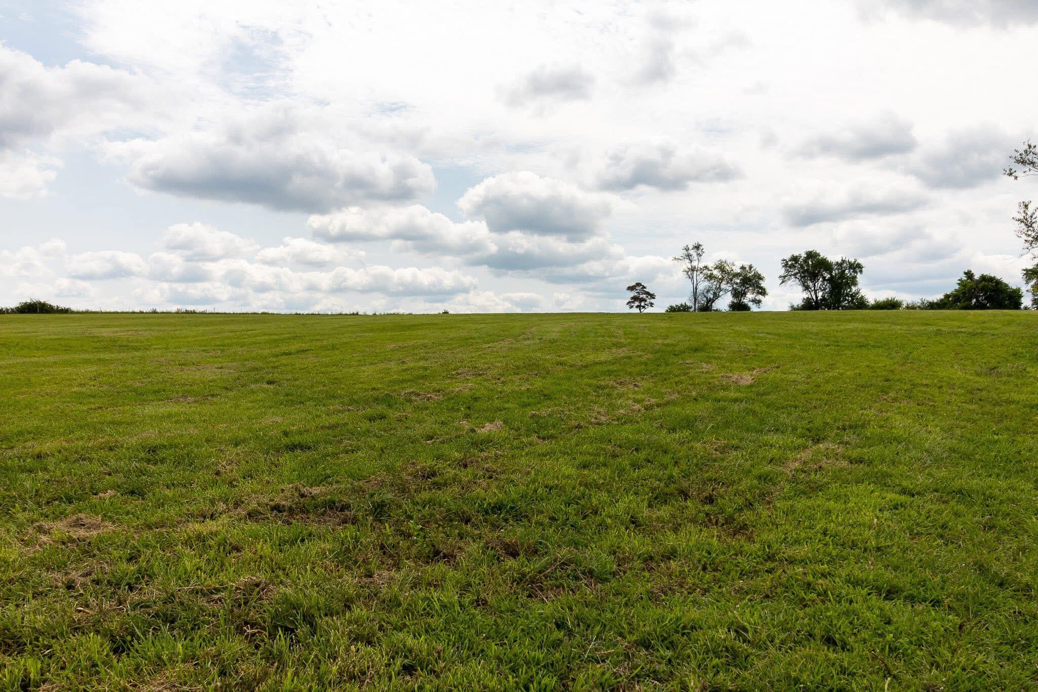10851 Lone Pine Road Property Photo 6