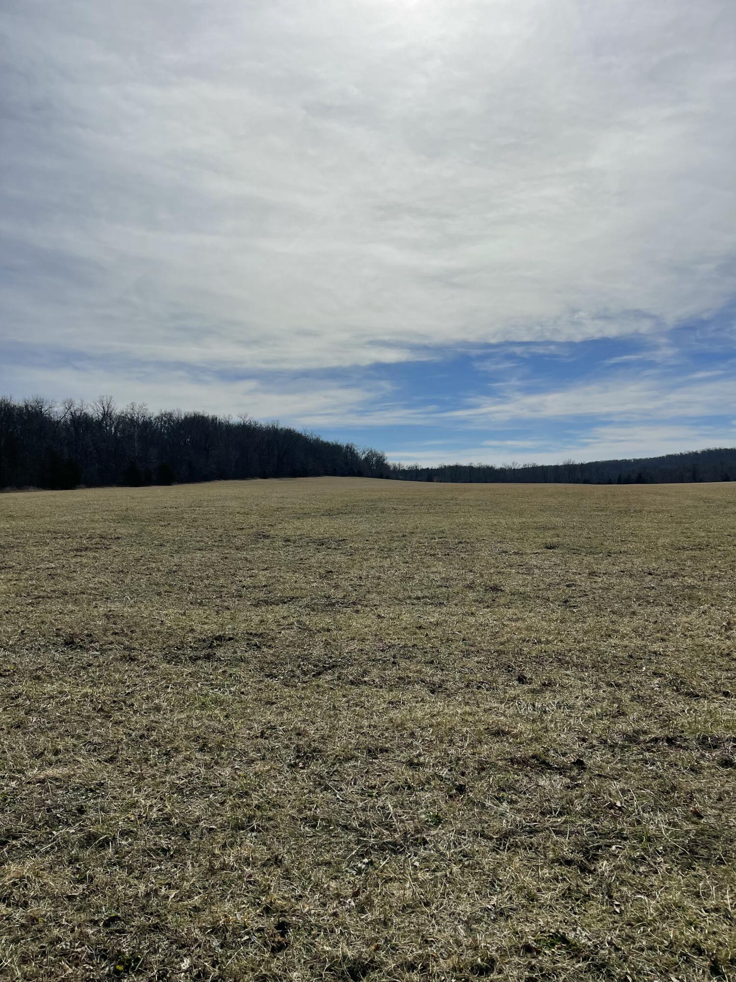 Tract 1 County Road 14-534 Property Photo 9