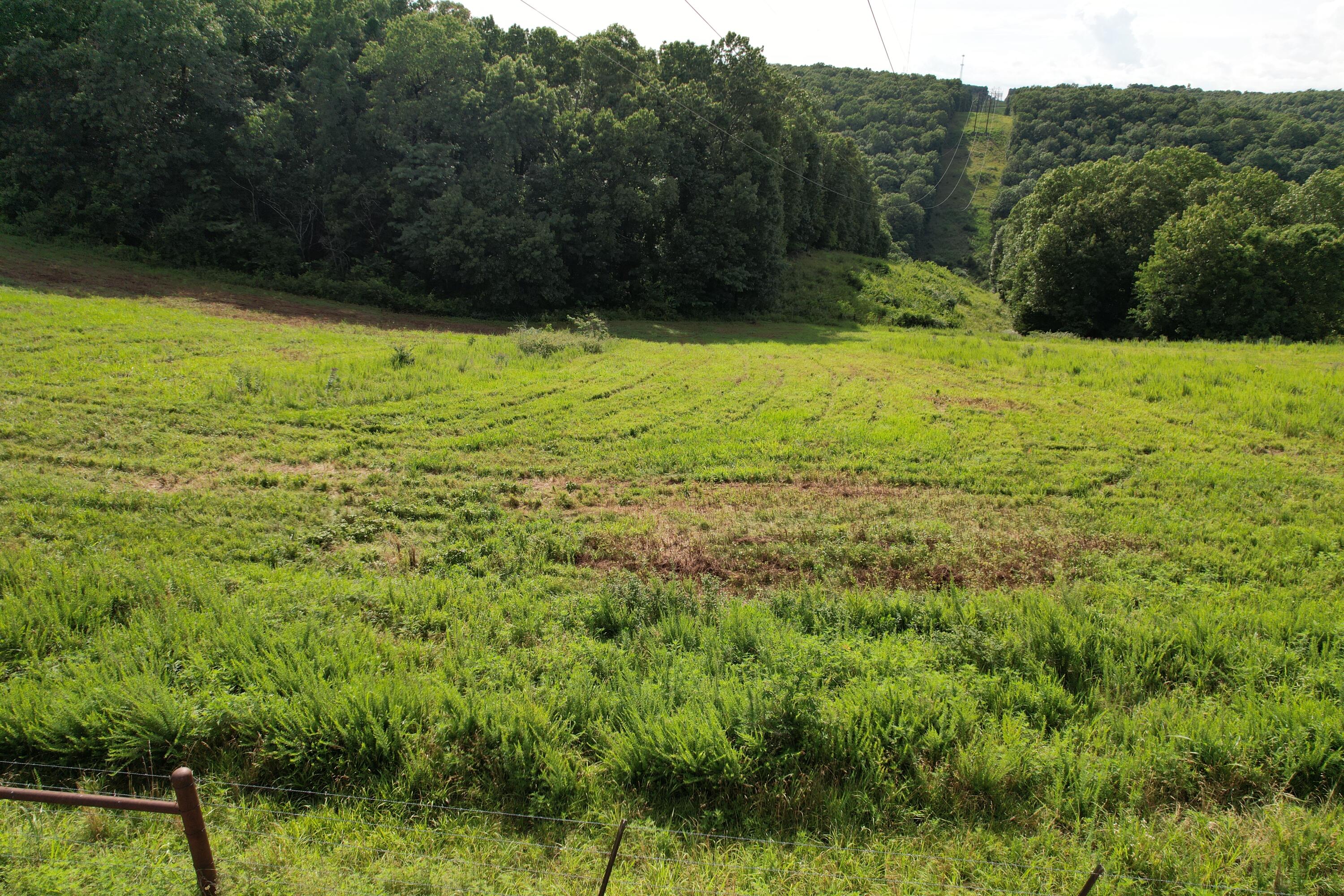 Tbd Us-65 Property Photo 22