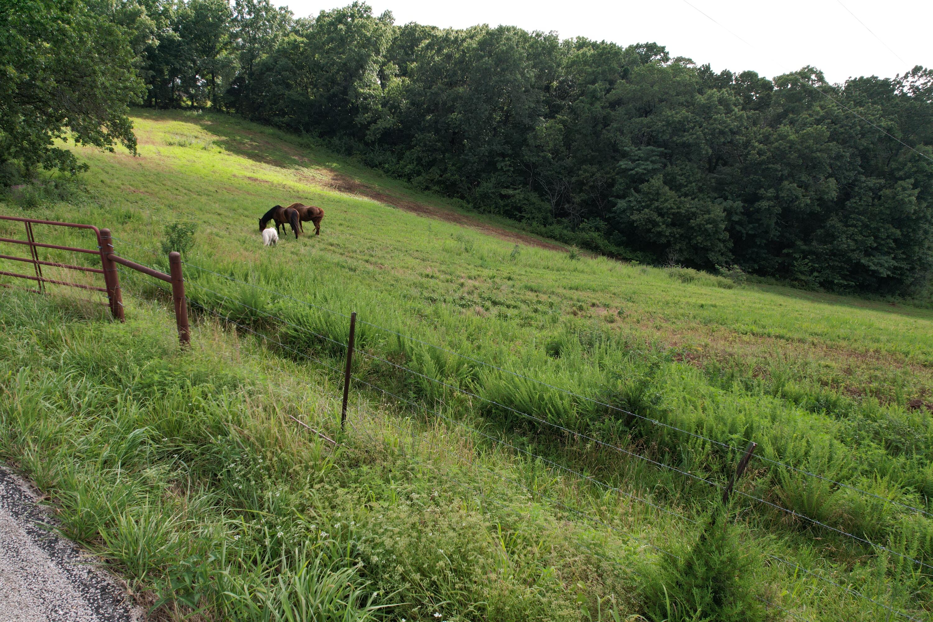 Tbd Us-65 Property Photo 24