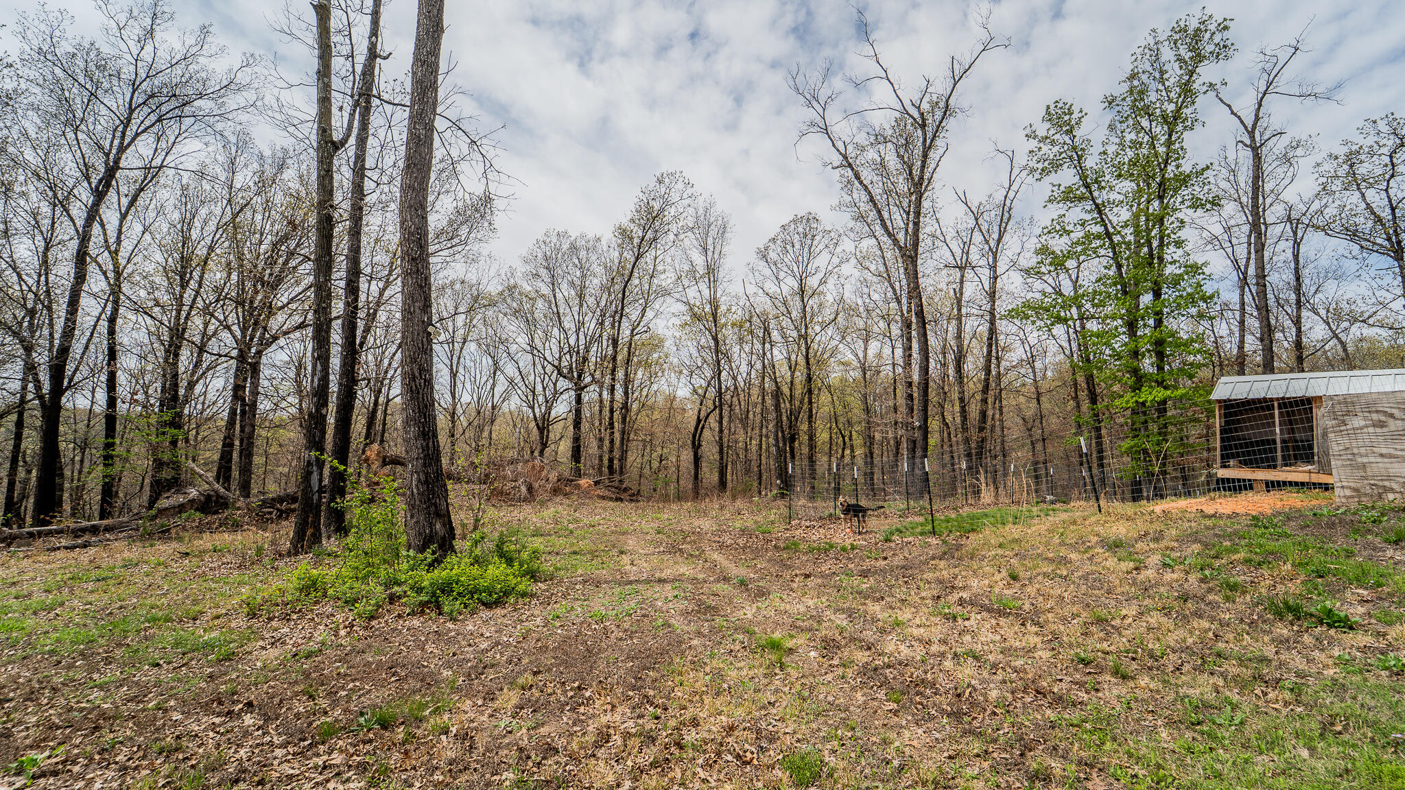 21722 Sibley Road Property Photo 29