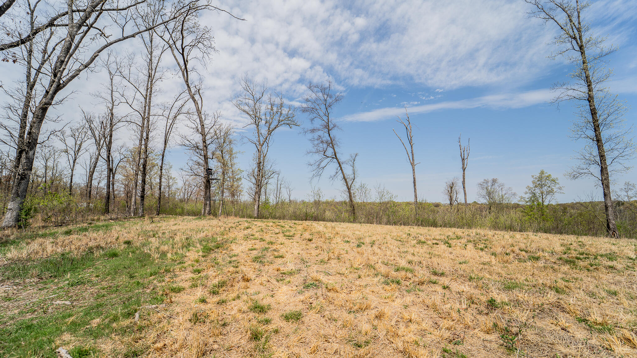 21722 Sibley Road Property Photo 43