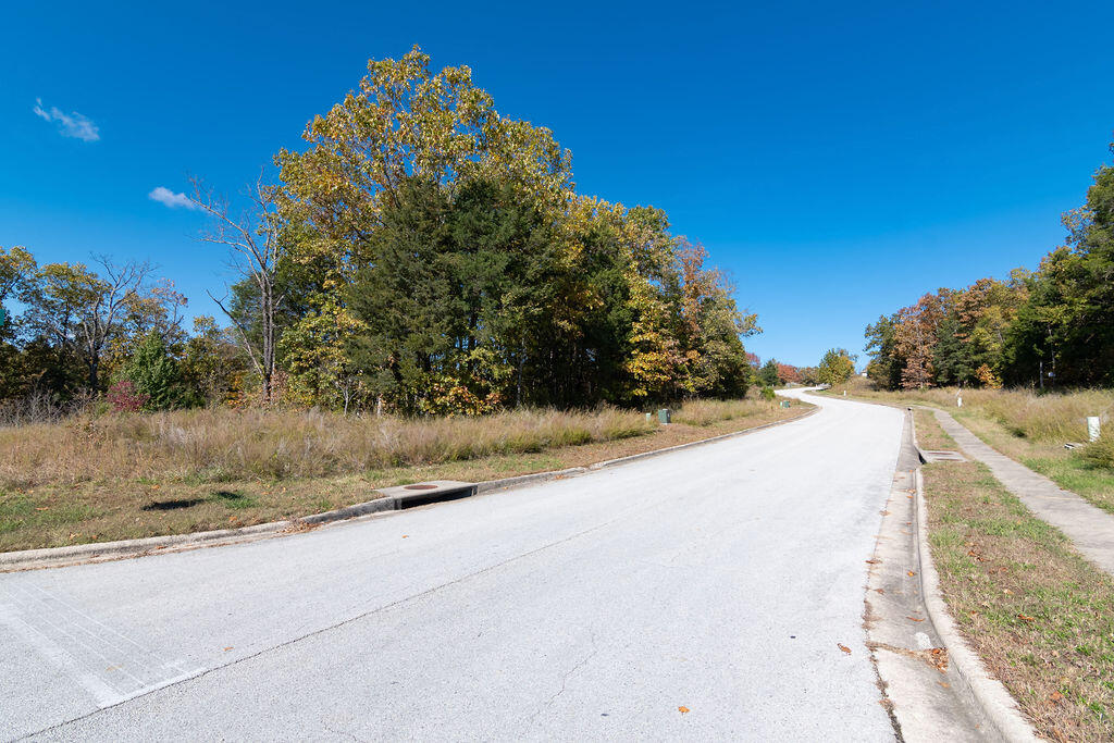 Lot 3 Redwine Avenue Property Photo 6