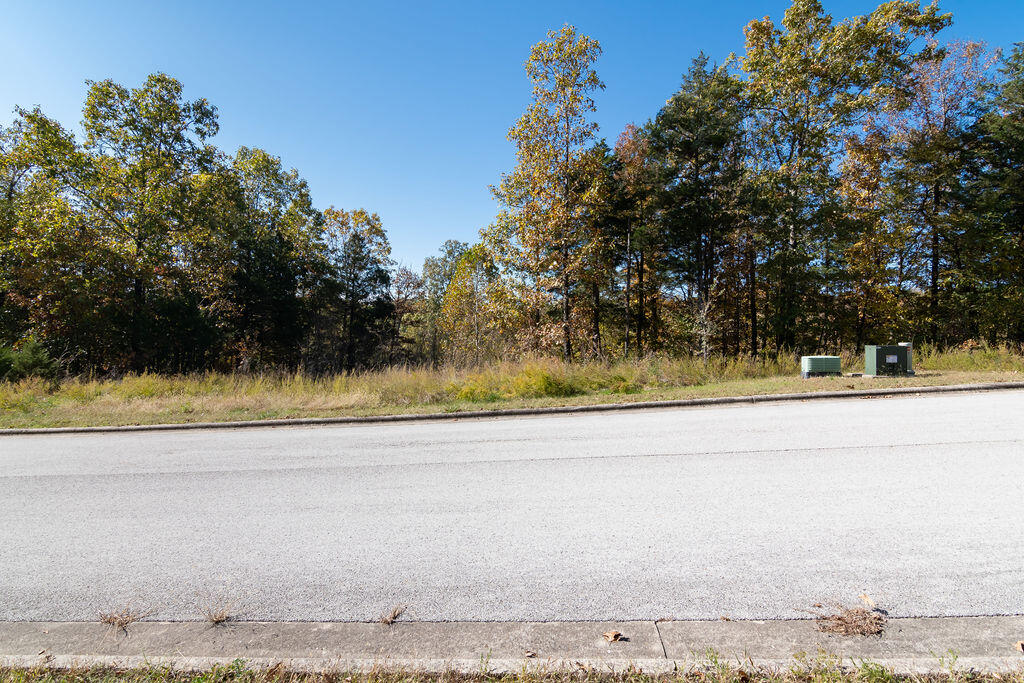 Lot 5 Redwine Avenue Property Photo 5