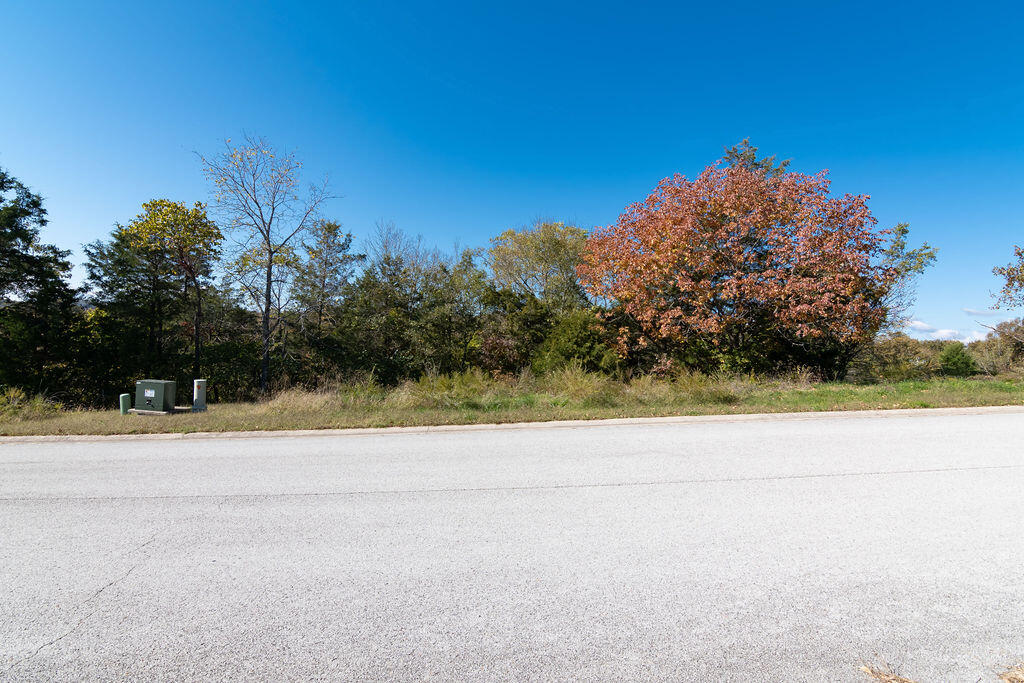 Lot 10 Redwine Avenue Property Photo 6