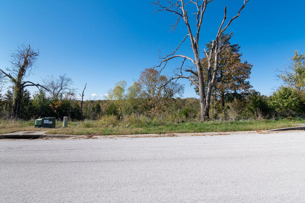 Lot 14 Redwine Avenue Property Photo 6