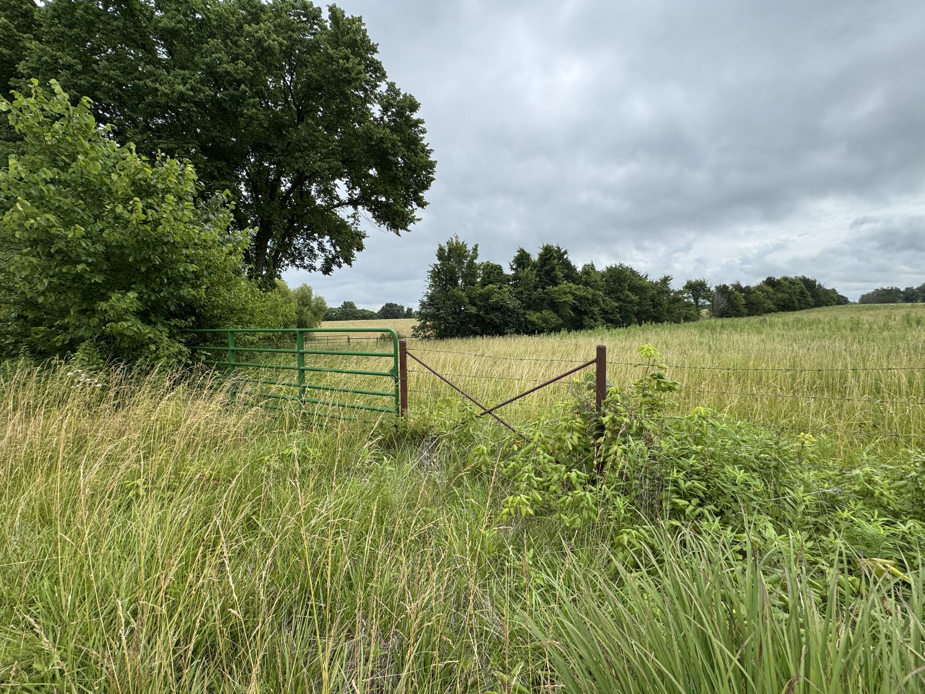 15001 Highway 133 Property Photo 78