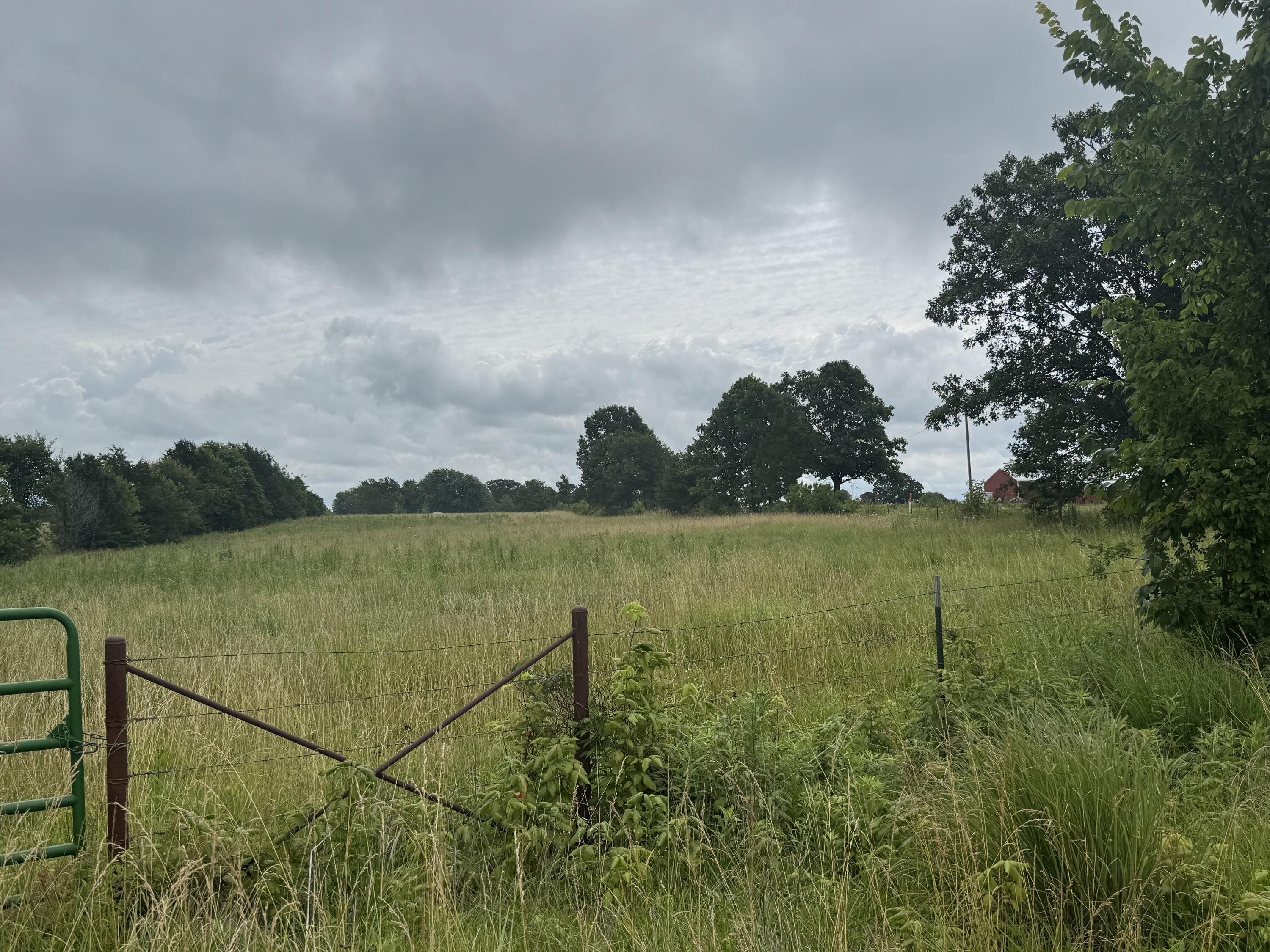 15001 Highway 133 Property Photo 79