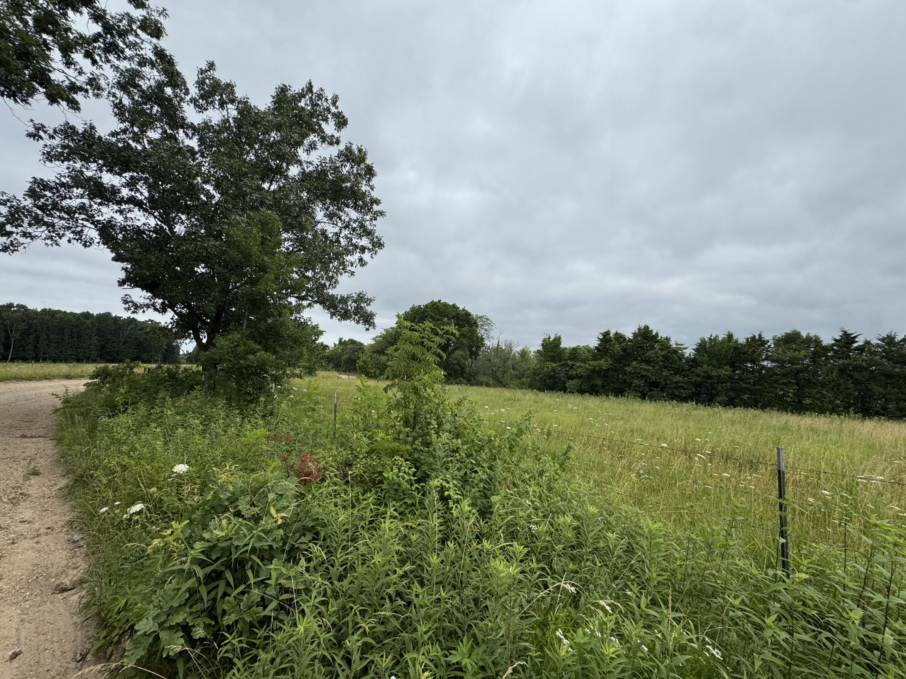 15001 Highway 133 Property Photo 80