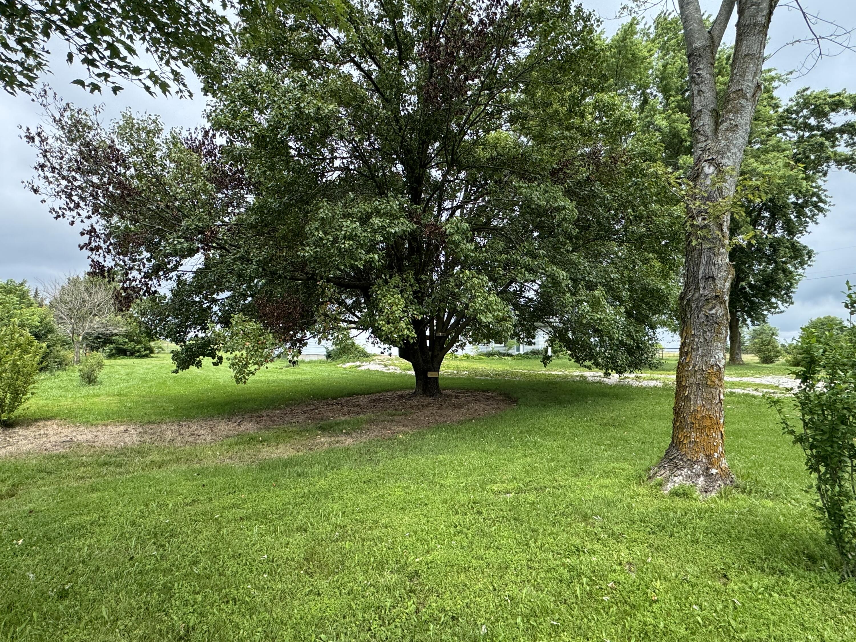 15001 Highway 133 Property Photo 84