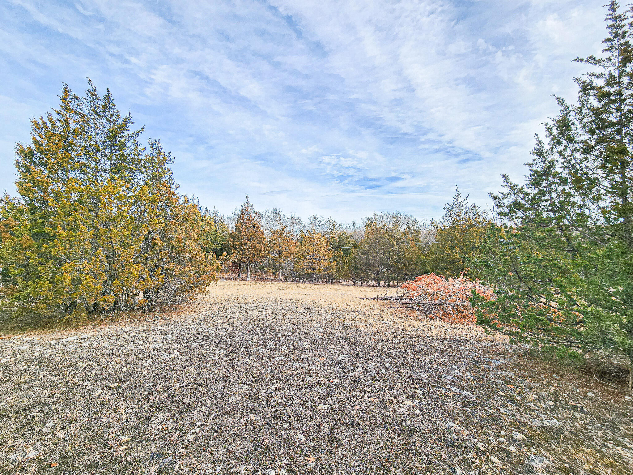 01 Tall Oaks Property Photo 1