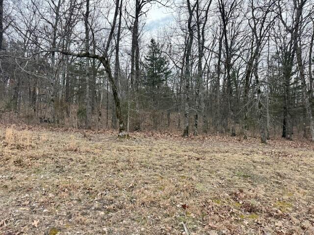 Lot 81 Green Cypress Lane Property Photo 4