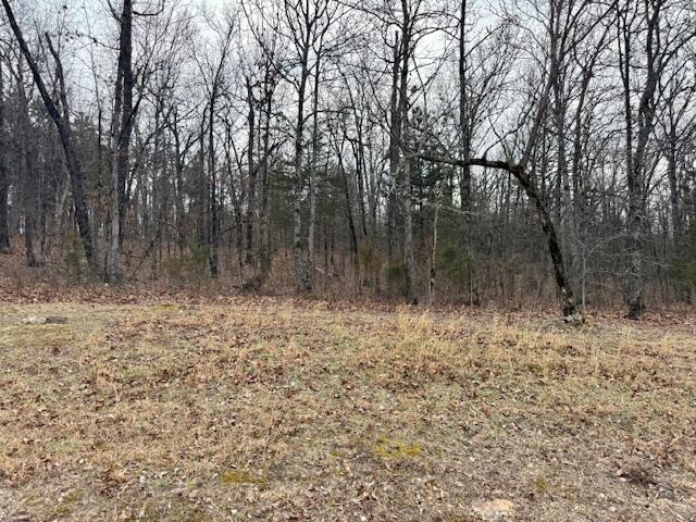 Lot 81 Green Cypress Lane Property Photo 6