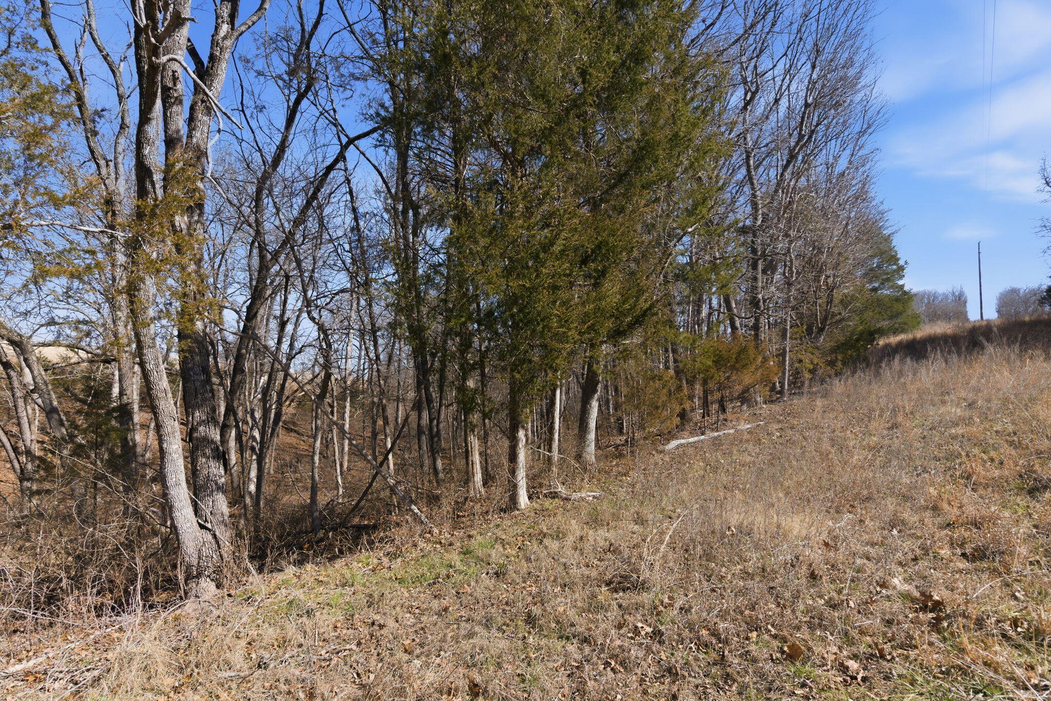 000 State Hwy Jj Tract 2 Property Photo 4