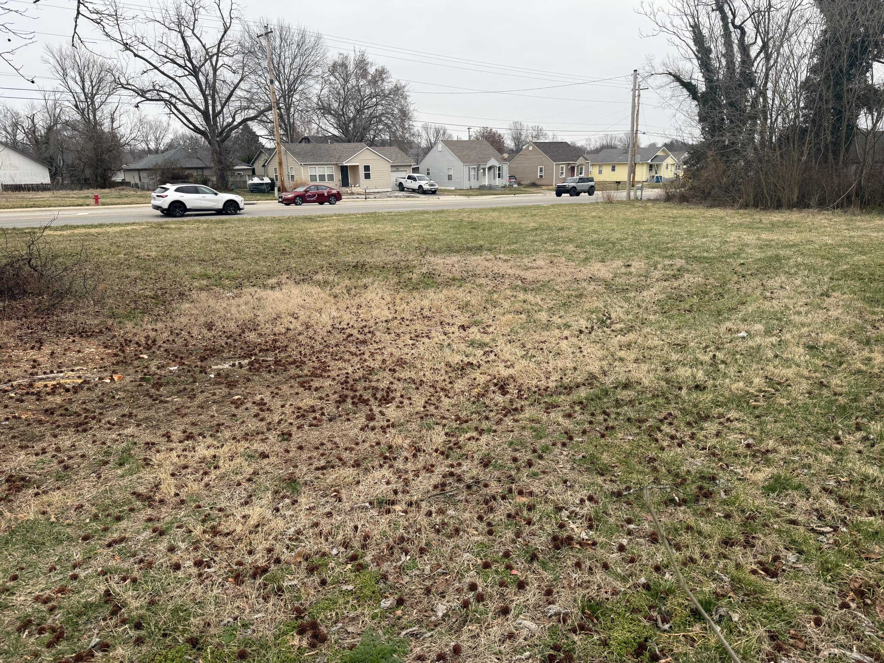 402 East Mount Vernon Street Property Photo 2