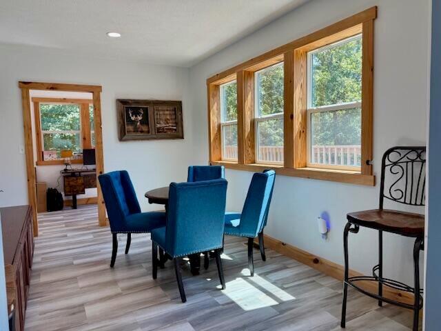16444 Freedom Road Property Photo 17