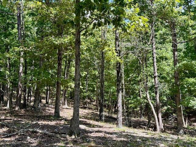 16444 Freedom Road Property Photo 46