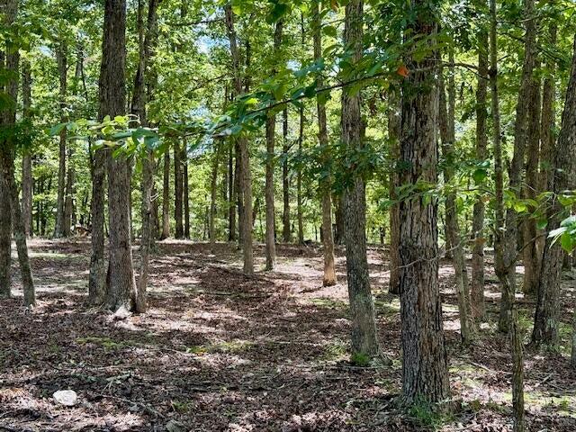 16444 Freedom Road Property Photo 47