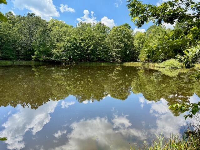 16444 Freedom Road Property Photo 50