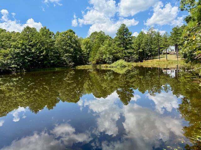 16444 Freedom Road Property Photo 55