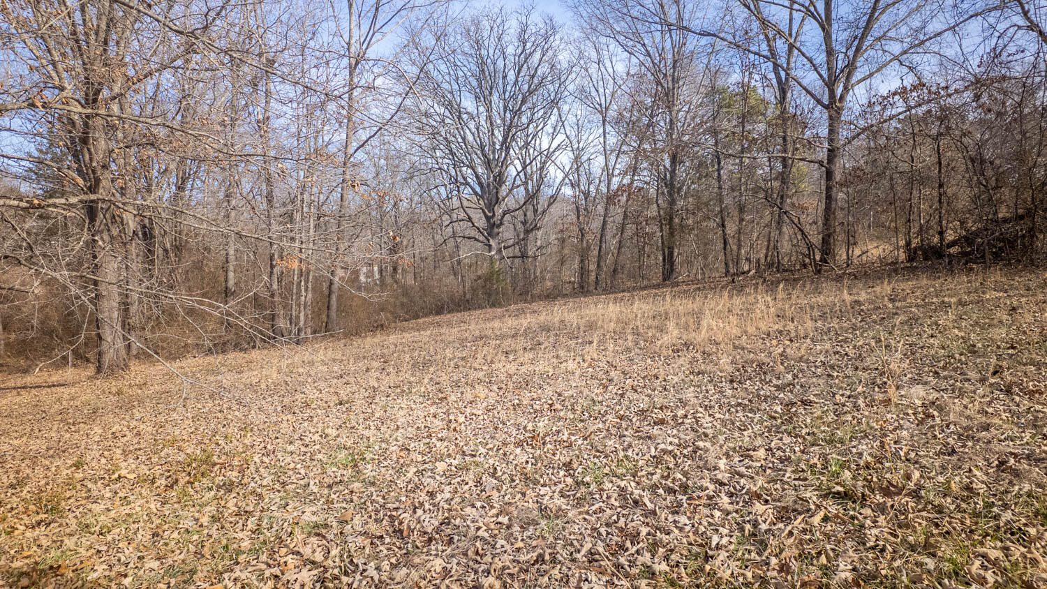 509 Old Cane Bluff Road Property Photo 58